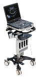 Portable ultrasound systems