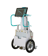 Гутевич Г.И.